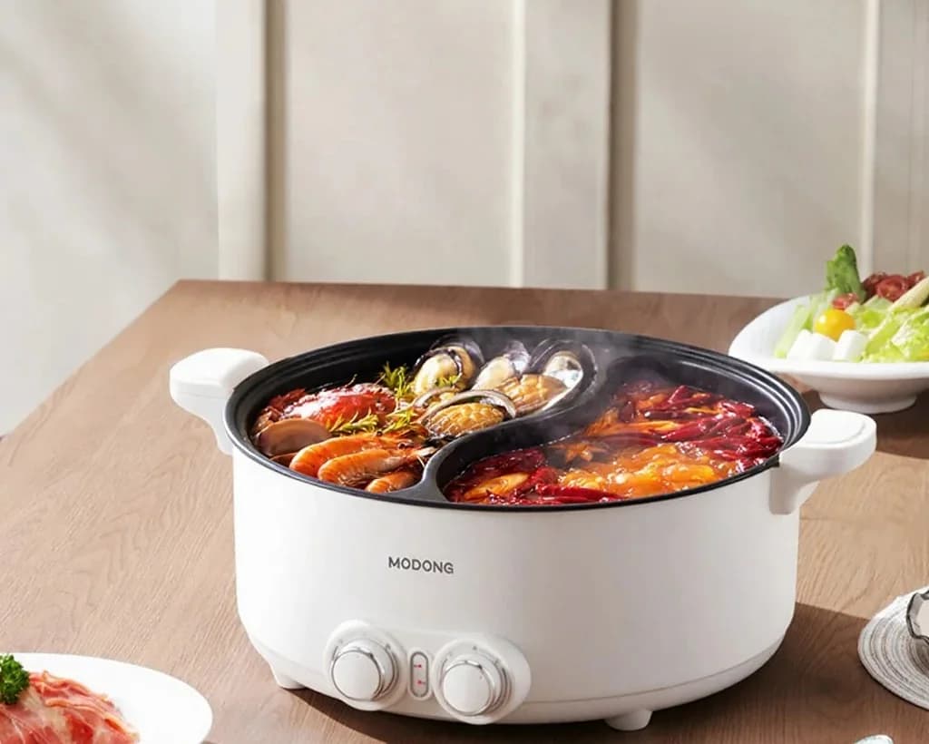 8L elektrisk hotpot med to zoner og justerbar temperatur