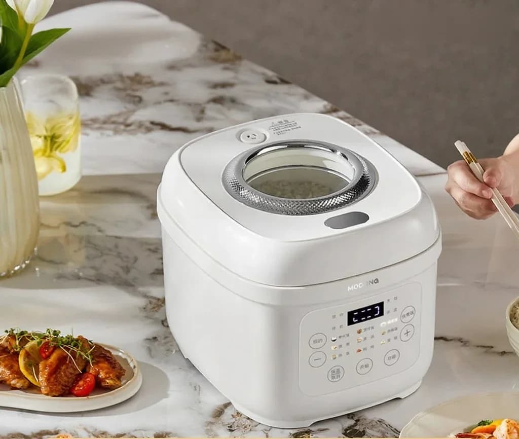 3L elektrisk riskoger med keramisk indergryde, 600W