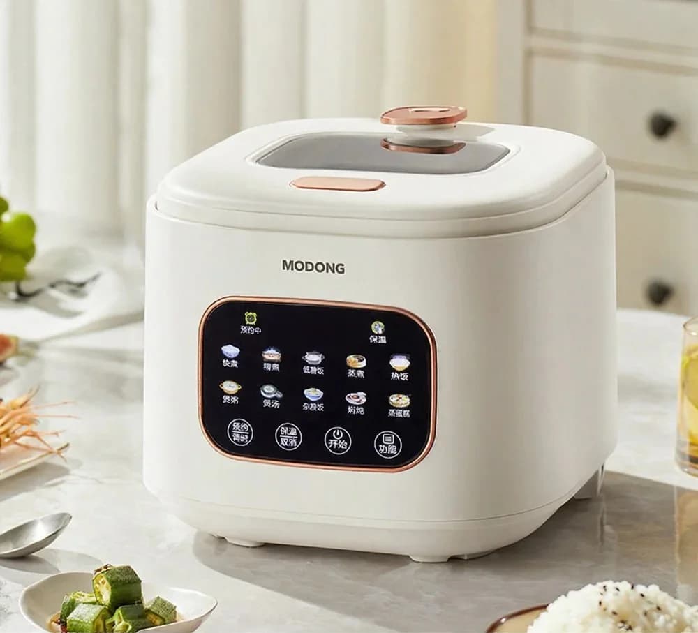 3L elektrisk riskoger med glasvindue og timer