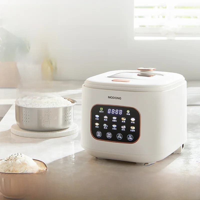 3L elektrisk riskoger med glasvindue og timer